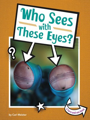 cover image of Who Sees With These Eyes?